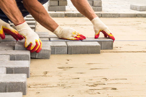 Best Driveway Pavers Near Me  in Cameron, TX